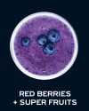 Milkshake Red Berries & Super Fruits