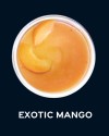Milkshake Exotic Mango